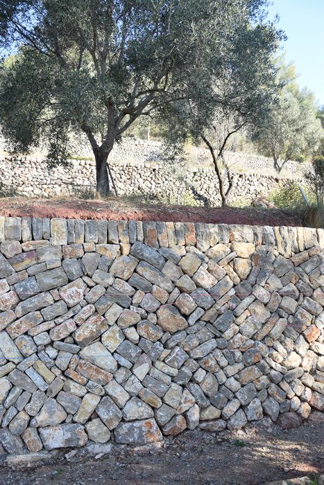 jardin, murs-terrasses, vue partielle