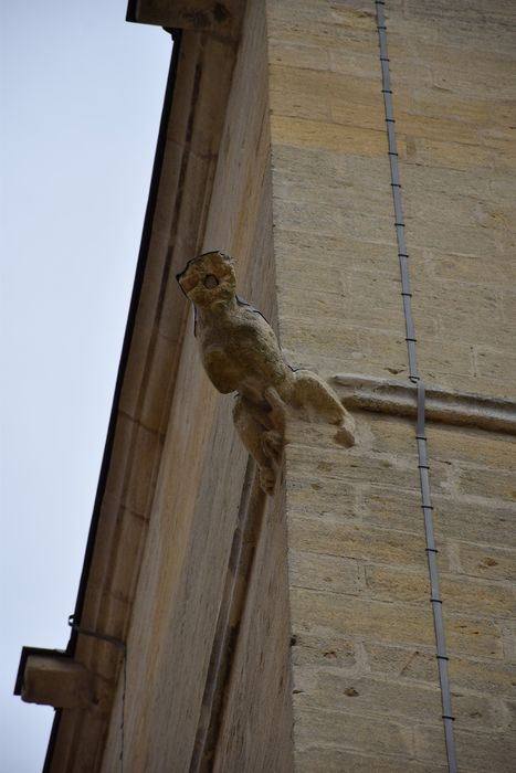 clocher, détail d’une gargouille