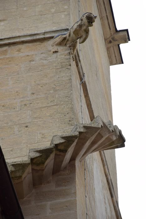 clocher, détail d’une gargouille