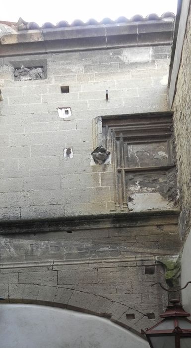 cour intérieure, façade sud, vue partielle