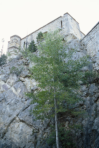 Mur et échauguette.