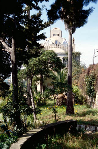 Jardin, vue d'ensemble.