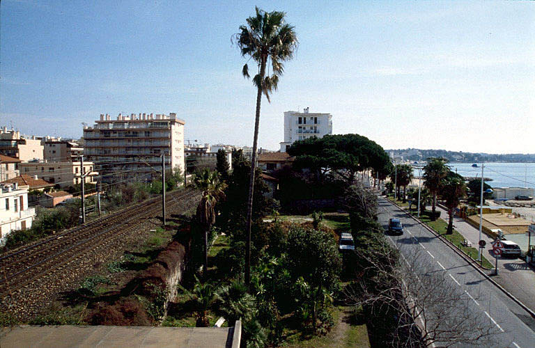 Jardin, vu depuis le toit de la villa.