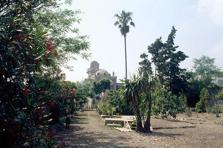 Le jardin, vue générale vers l'ouest.