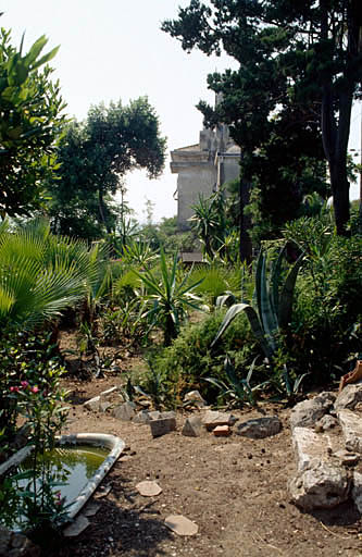 Une allée du jardin, vue vers l'ouest.