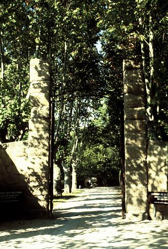 Vue du portail d'entrée et l'allée d'accès bordée de platanes.