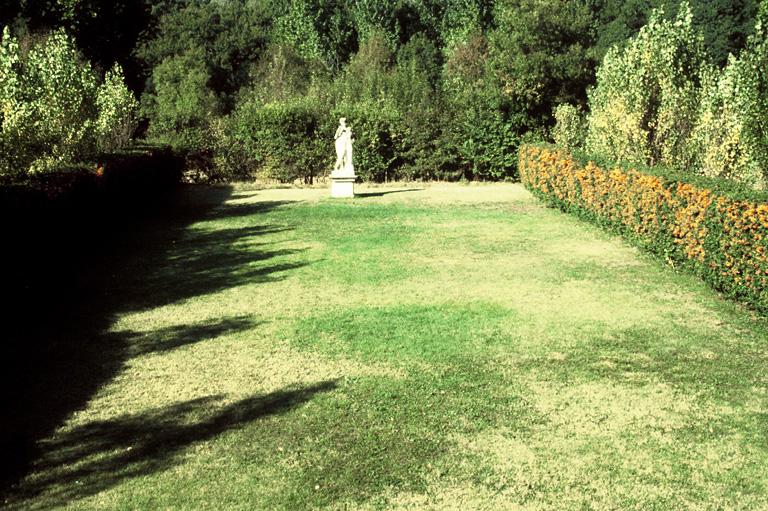 Vue du jardin avec une statue.