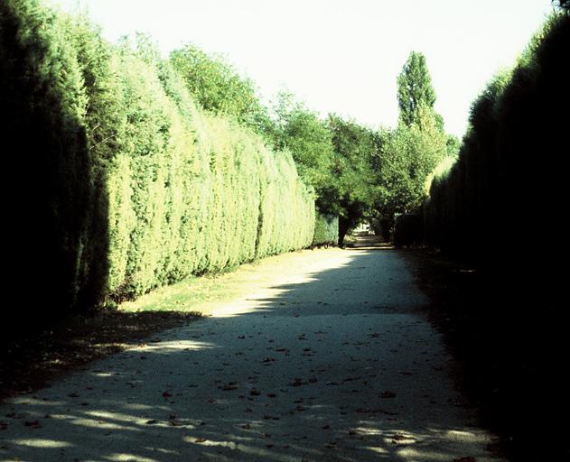 Vue du jardin avec une allée et un alignement de cyprès.