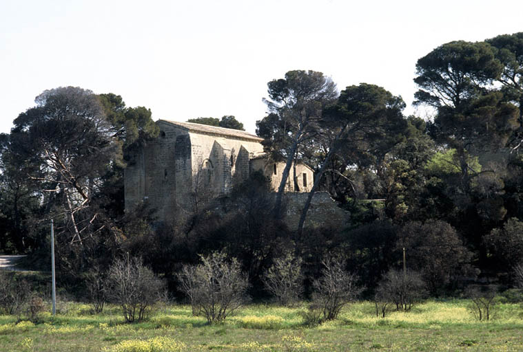 Vue générale du site au sud-ouest.