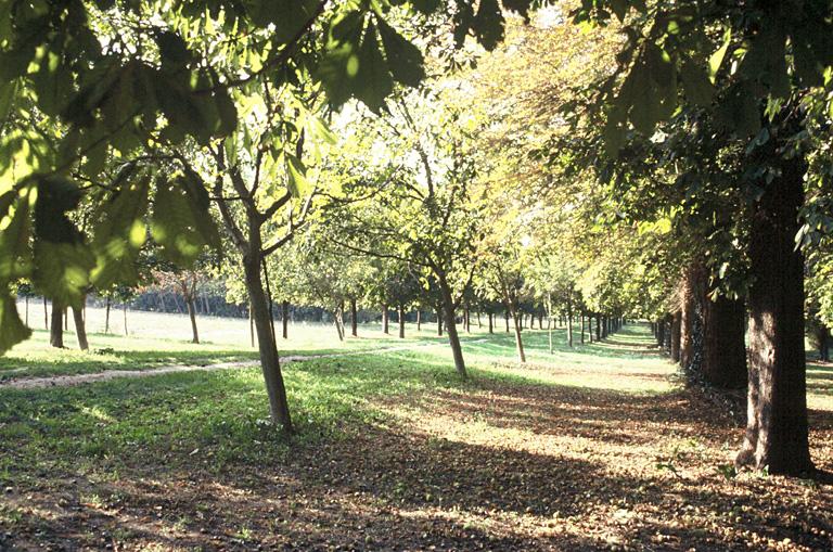 Vue des prairies et sous bois.