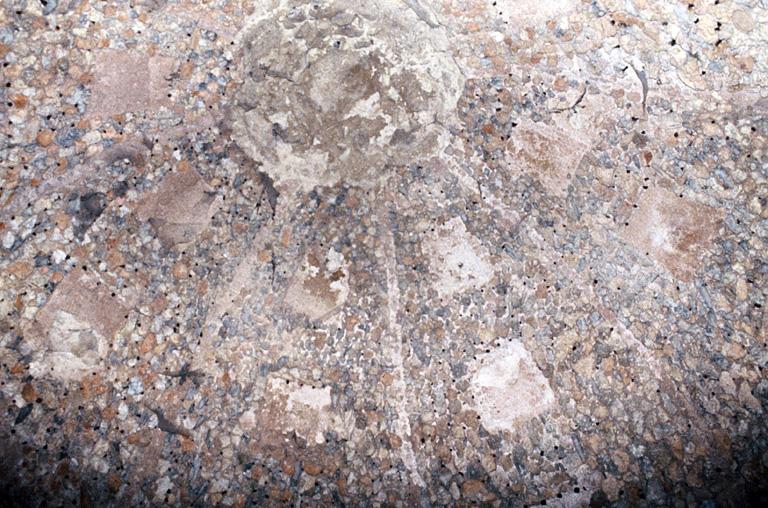 Vue du pavillon de la grotte de fraîcheur, détail des concrétions recouvrant la voûte.