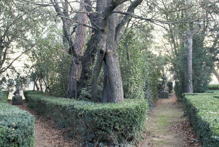 Allées obliques.