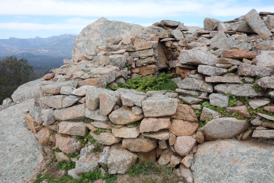 Site archéologique de Tappa : vue partielle des ruines