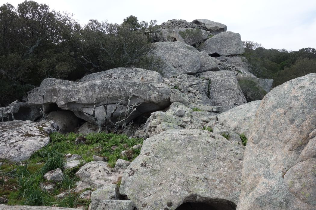 Site archéologique de Tappa : vue partielle des ruines