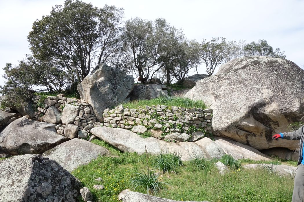 Site archéologique de Tappa : vue partielle des ruines