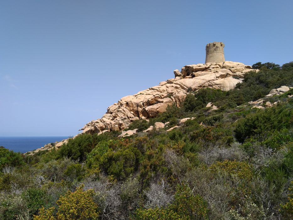 Tour de Senetosa : Tour de Senetosa : Vue générale de la tour dans son environnent