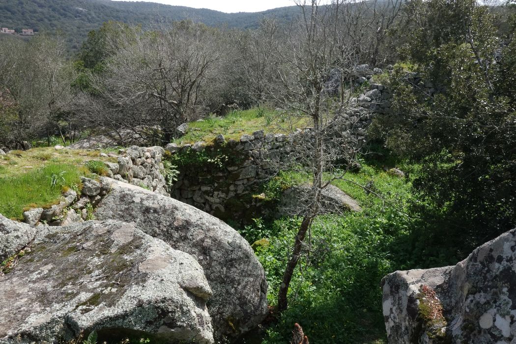 Site archéologique de Tappa : Site archéologique de Tappa : Vue partielle de l'enceinte en pierre sèche