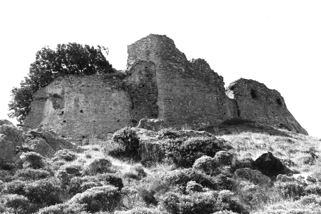 La courtine du château et la porte d’entrée, vue du sud