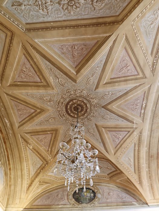 appartement du 2nd étage : plafond u grand salon