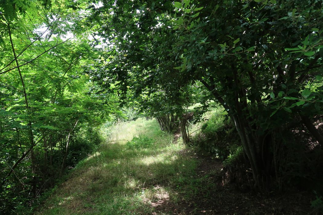 jardin, vue partielle