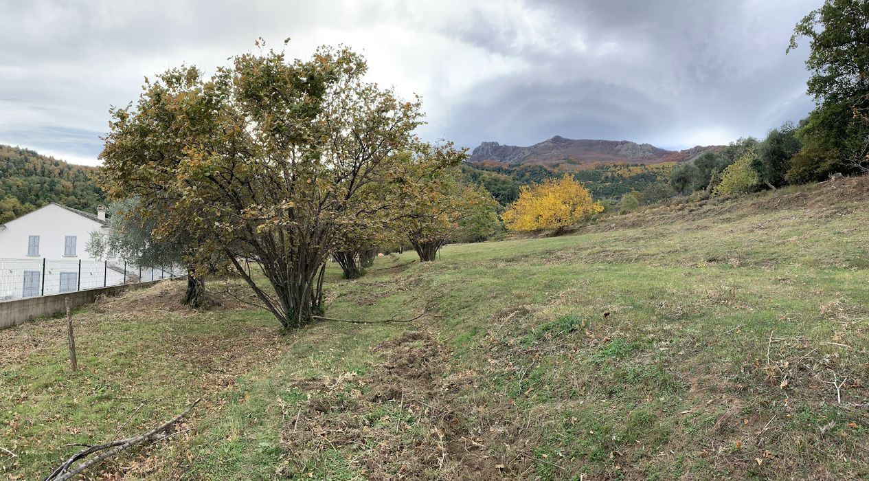 jardin, vue partielle