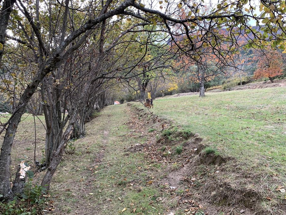 jardin, vue partielle