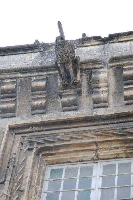 façade sud sur cour, détail d’une gargouille