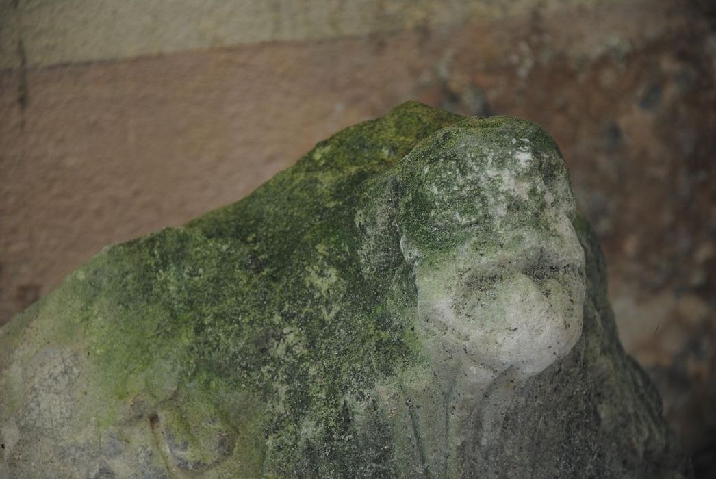 chapiteaux, vue générale