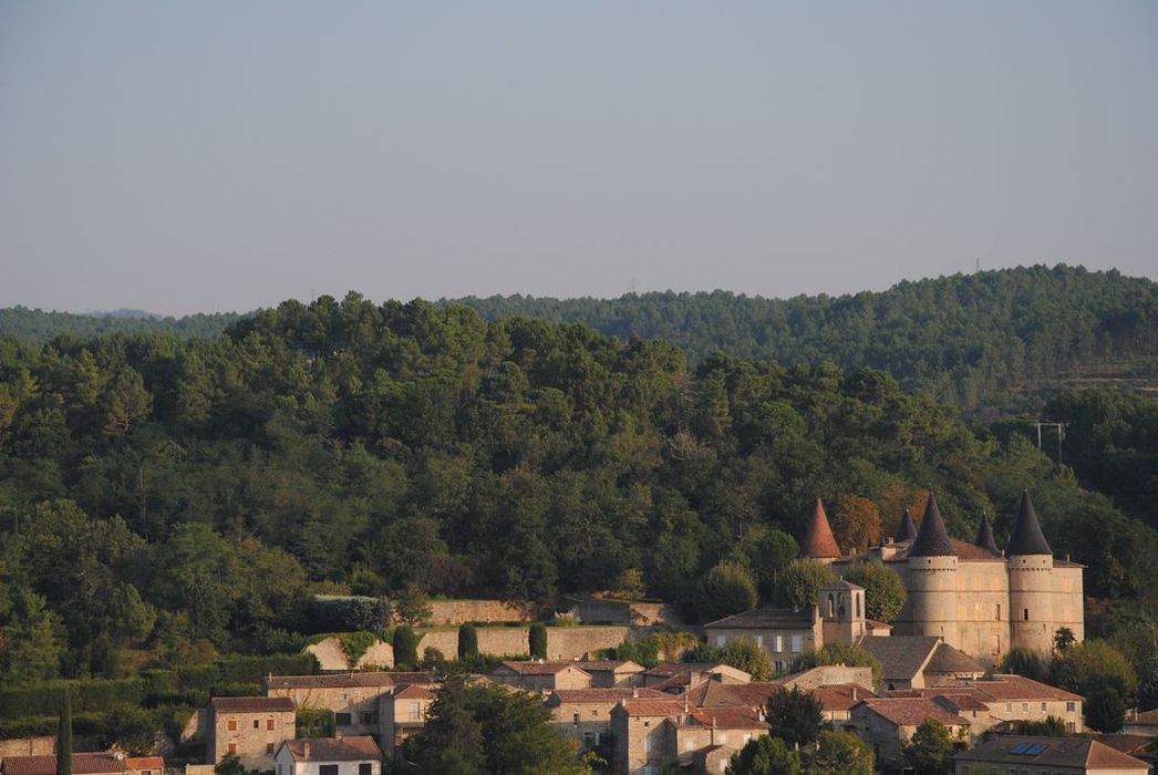 Château : Vue générale du château dans son environnement