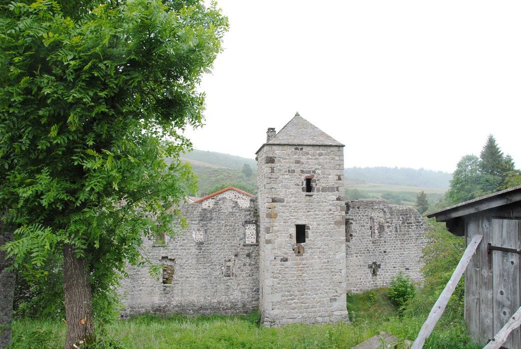 Abbaye : Vue partielle des ruines