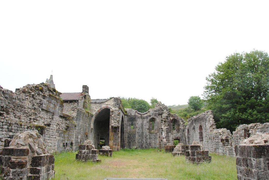 Abbaye : Vue partielle des ruines