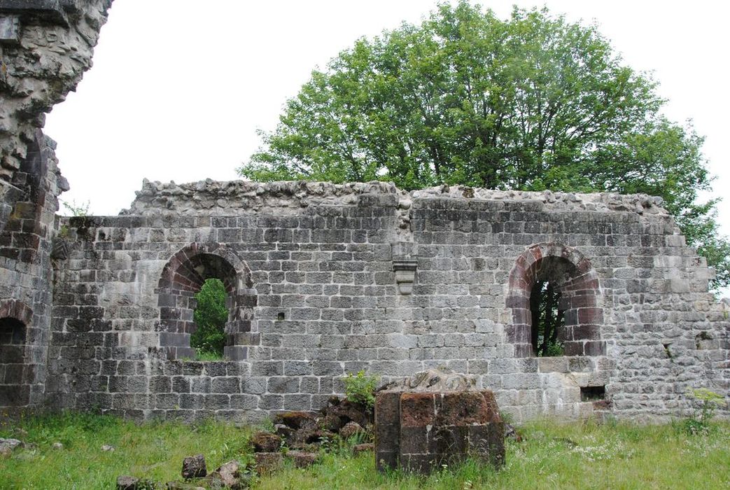 Abbaye : Vue partielle des ruines