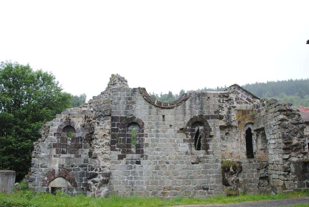 Abbaye : Vue partielle des ruines