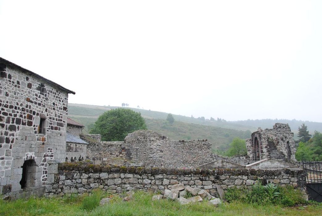 Abbaye : Vue partielle des ruines