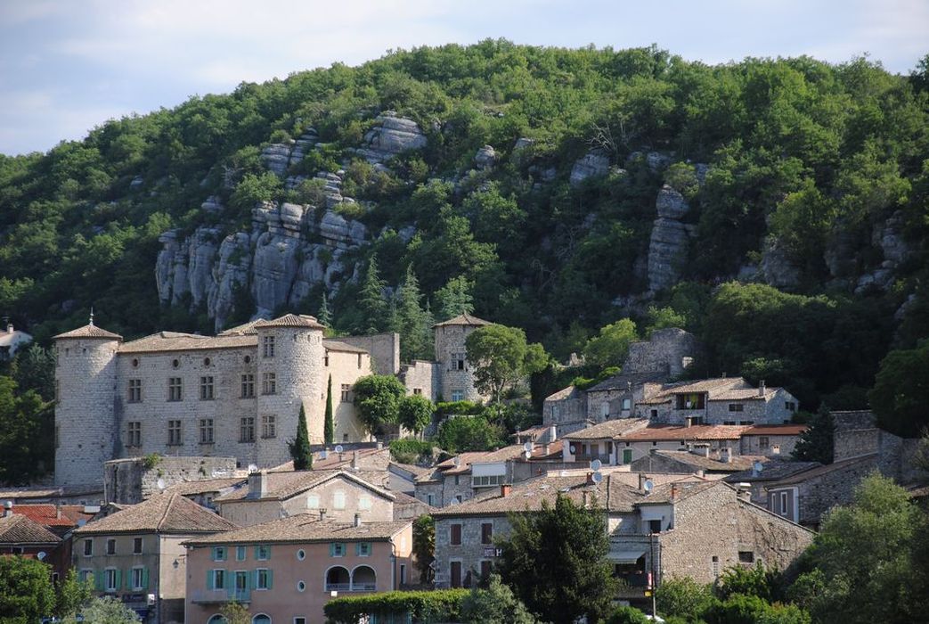 Château : Vue générale du château dans son environnement depuis le Sud-Ouest