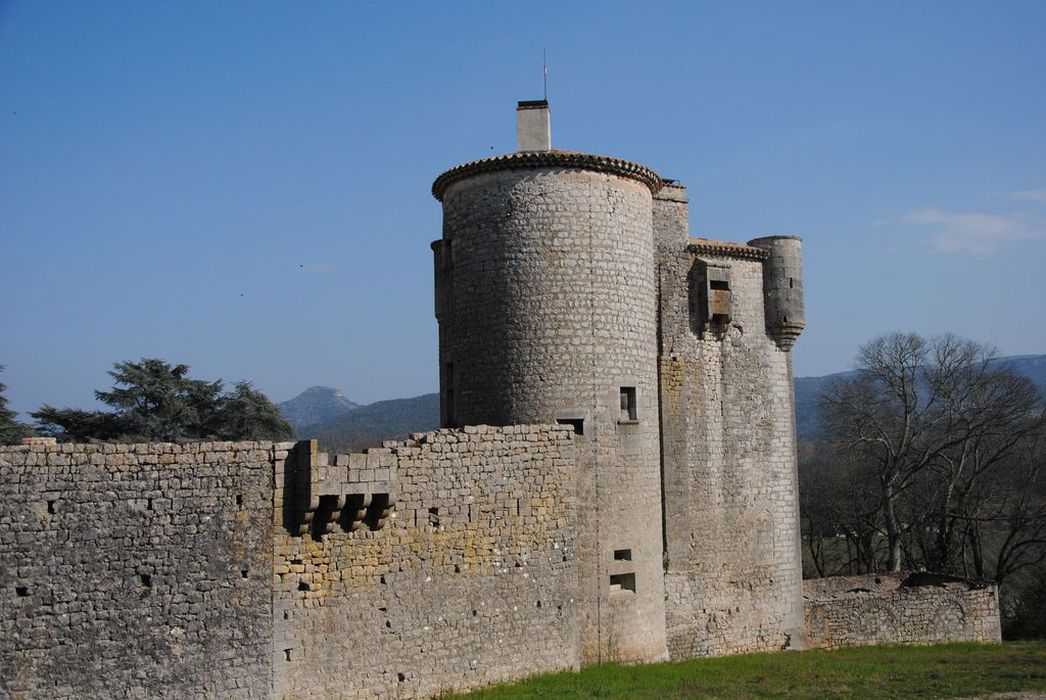 Château de Baumefort : Donjon, ensemble ouest, vue générale