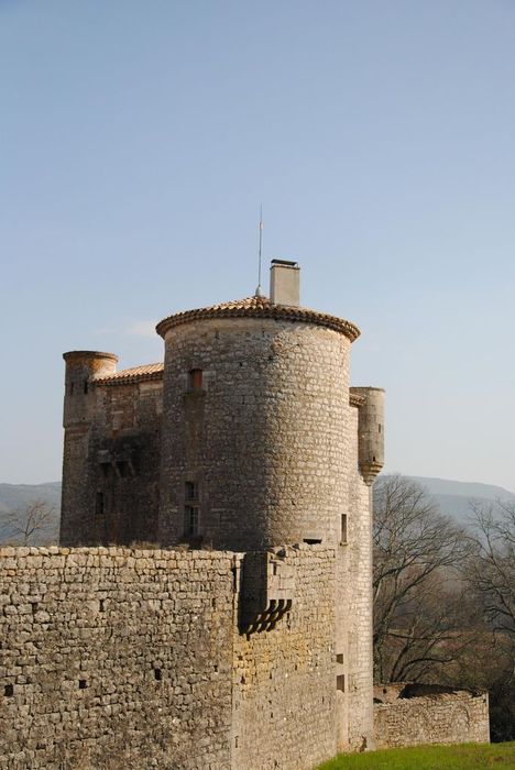 Château de Baumefort : Donjon, ensemble nord-ouest, vue générale