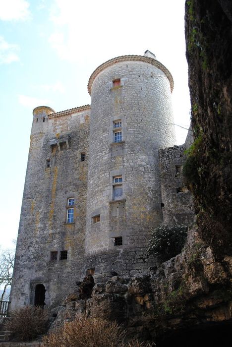 Château de Baumefort : Donjon, élévation est, vue générale