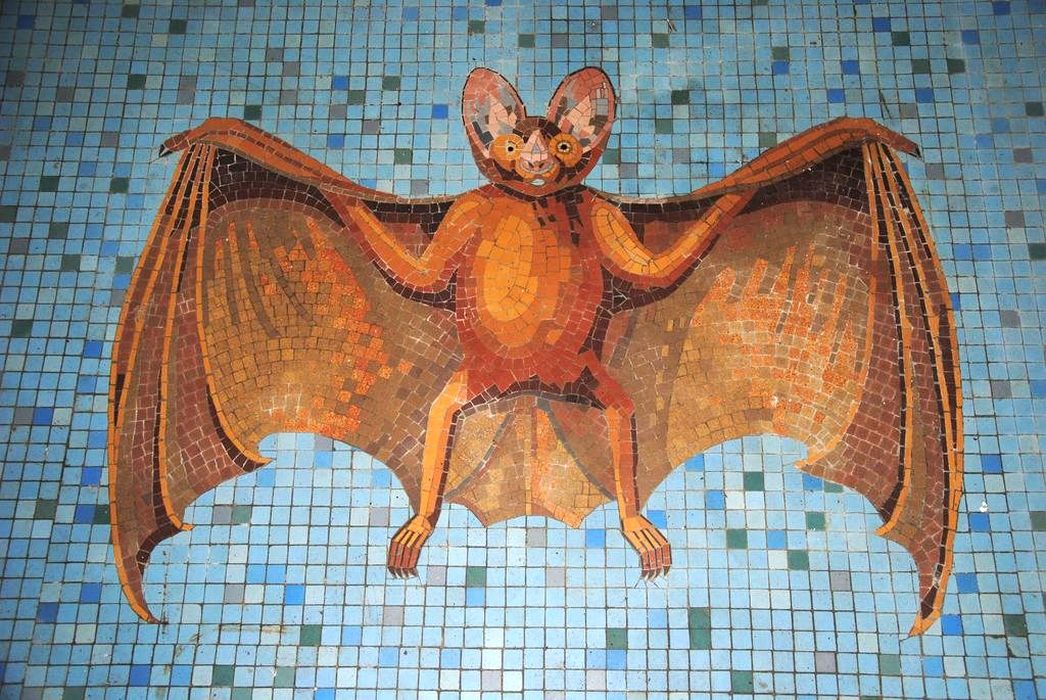 revêtement de sol : Chauve souris