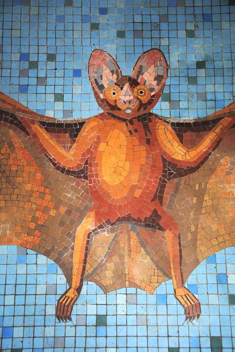 revêtement de sol : Chauve souris, vue partielle