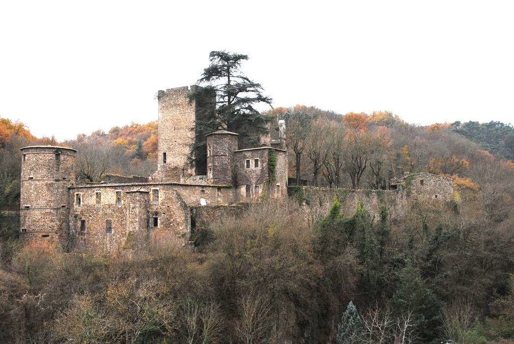 Vieux château (restes) : Ensemble nord-est, vue générale