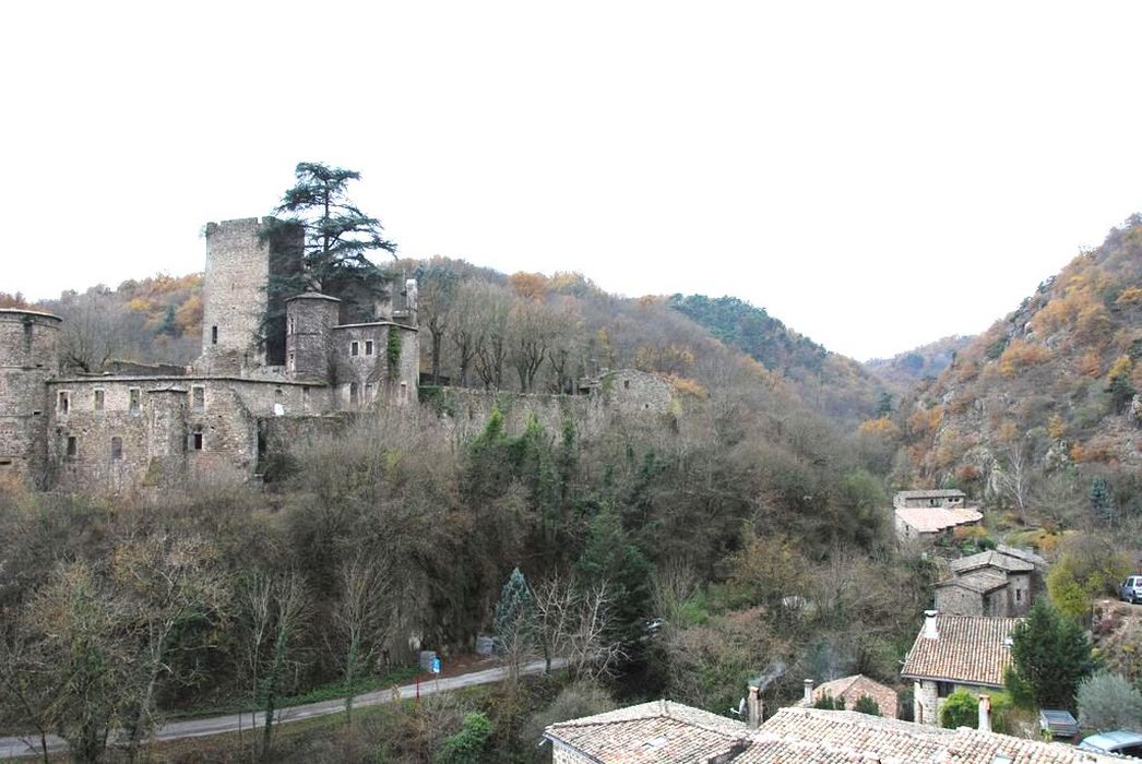 Vieux château (restes) : Vue générale du château dans son environnement depuis Nord-Est