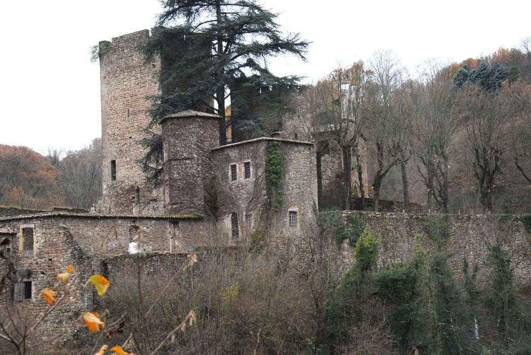 Vieux château (restes) : Vue générale du château dans son environnement depuis Nord-Est