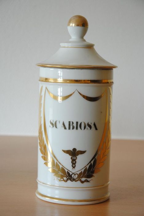 pot à pharmacie : Scabios