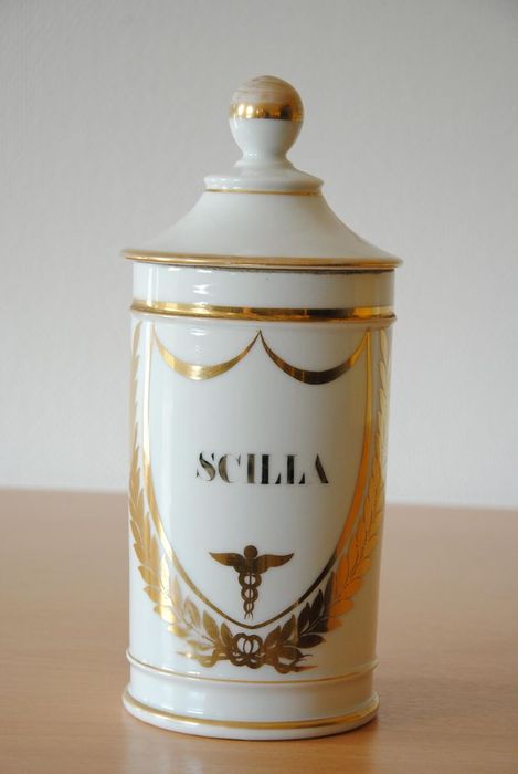pot à pharmacie : Scilla