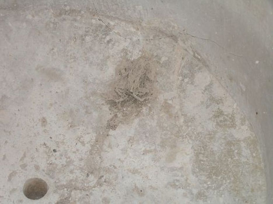 fonts baptismaux, détail d’une gravure : Grenouille (?)