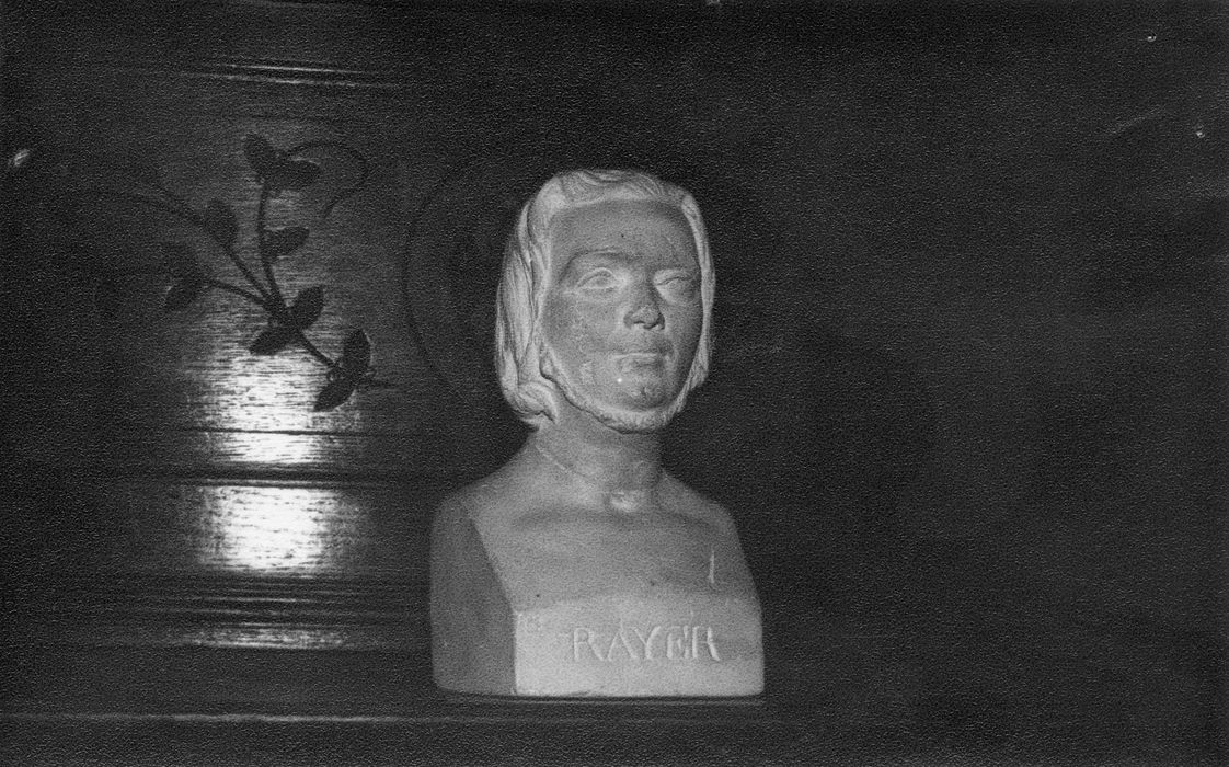buste : Docteur Rayer