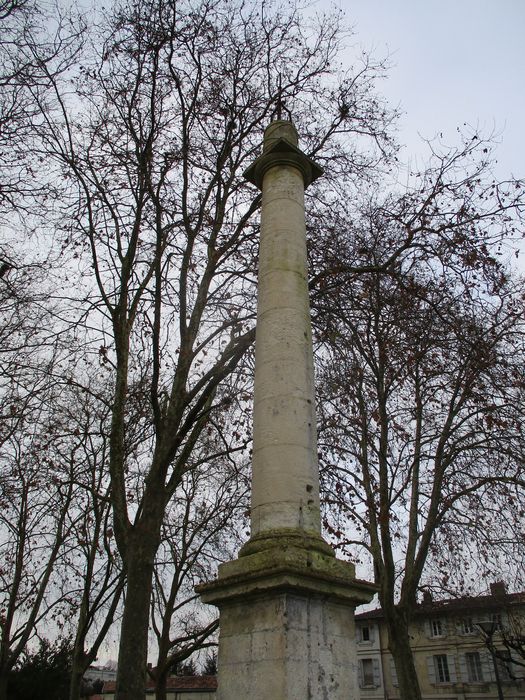 vue générale de la colonne