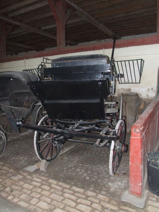 voiture hippomobile dite petit break