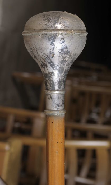 bâton de bedeau, vue partielle